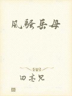 风骚岳母