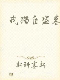 我独自盗墓