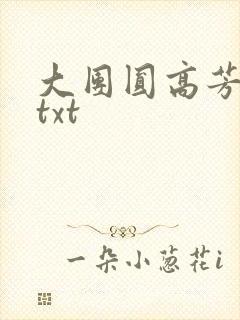 大团圆高芳小说txt