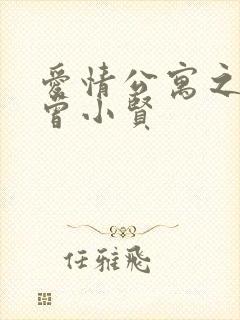 爱情公寓之极品曾小贤