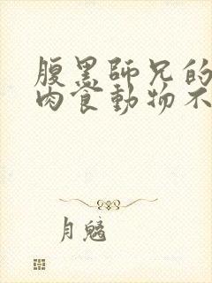 腹黑师兄的日常肉食动物不食草