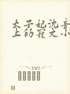 太子妃沈音和皇上的宠文小说