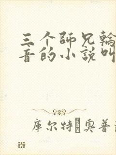 三个师兄轮流上音的小说叫什么