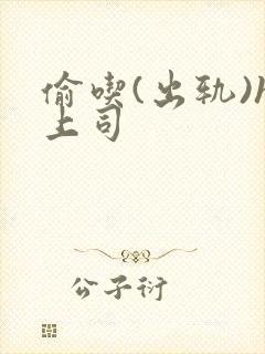 偷吃(出轨)h上司