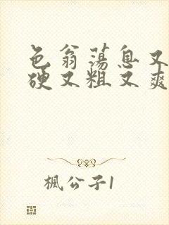 色翁荡息又大又硬又粗又爽