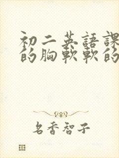 初二英语课代表的胸软软的