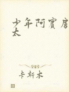 少年阿宾房东太太