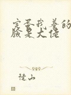 完蛋我养的小白脸是大佬