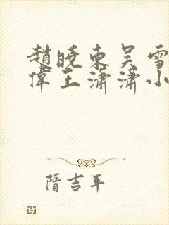 赵晓东吴雪晴郑伟王潇潇小说名字