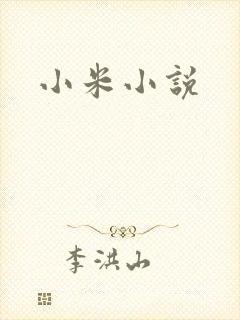 小米小说