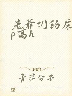 老爷们的床奴np高h