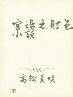 官场之财色诱人小说