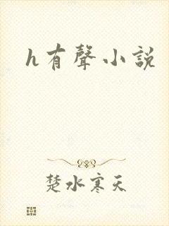 h有声小说