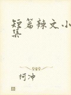 短篇辣文小说合集