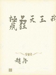 极品天王 我本疯狂