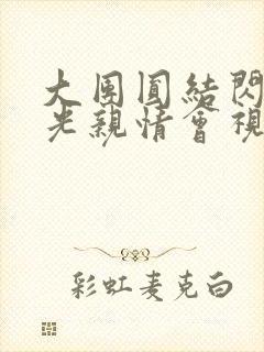 大团圆结闪闪发光亲情会视频