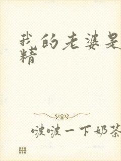 我的老婆是狐狸精