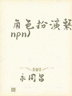 角色扮演系统(npn)