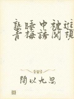 熟睡中被进了H青梅诱哄视频