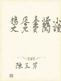 杨辰秦惜小说全文免费阅读完整版