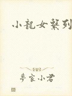 小龙女系列小说