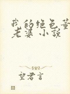 我的绝色董事长老婆 小说