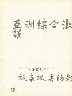 亚洲综合激情小说