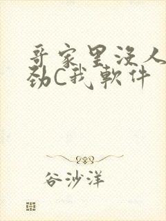 哥家里没人使点劲C我软件