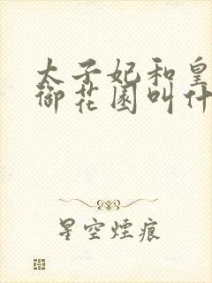 太子妃和皇帝在御花园叫什么小说