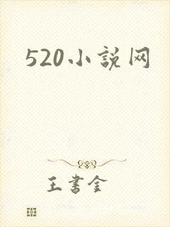 520小说网