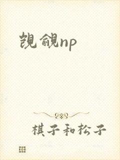 觊觎np