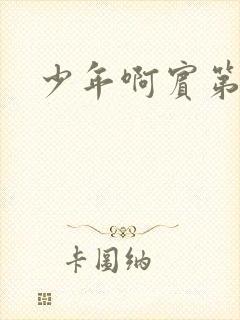 少年啊宾第二部