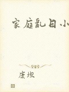 家庭乱日小说