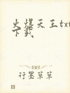 火爆天王txt下载