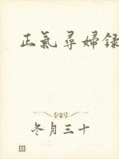 正气寻妇录