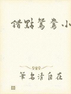 错点鸳鸯小说