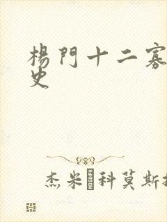 杨门十二寡妇艳史