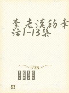 李老汉的幸福生活1-13集