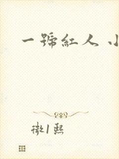 一号红人 小说