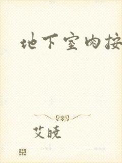 地下室肉按摩椅