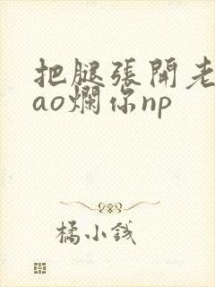 把腿张开老子cao烂你np