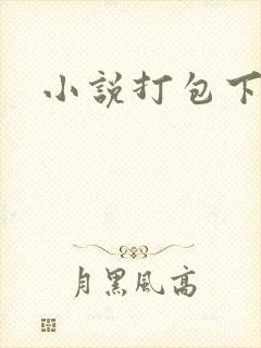 小说打包下载