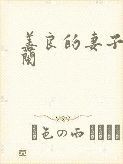 善良的妻子王晓兰