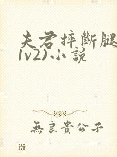 夫君摔断腿后(1v2)小说