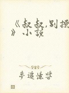 《叔叔,别撩我》小说