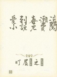 爱到春潮滚滚来小说免费阅读