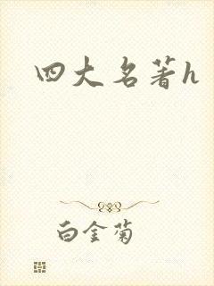 四大名著h