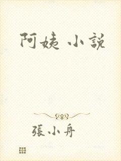 阿姨 小说