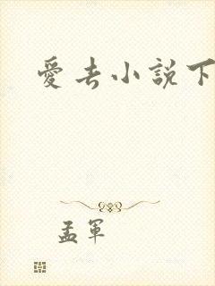 爱去小说下载网