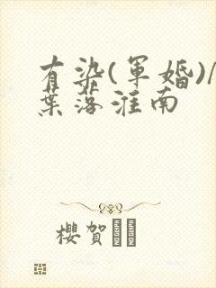 有染(军婚)/叶落淮南